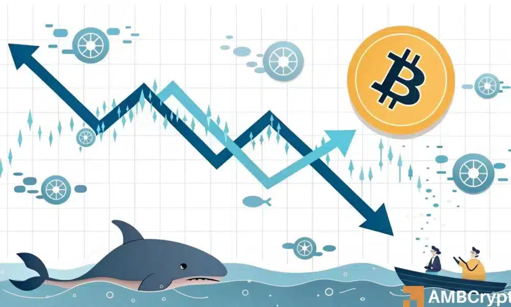 比特币价格走势:历史新低下的挑战和机遇