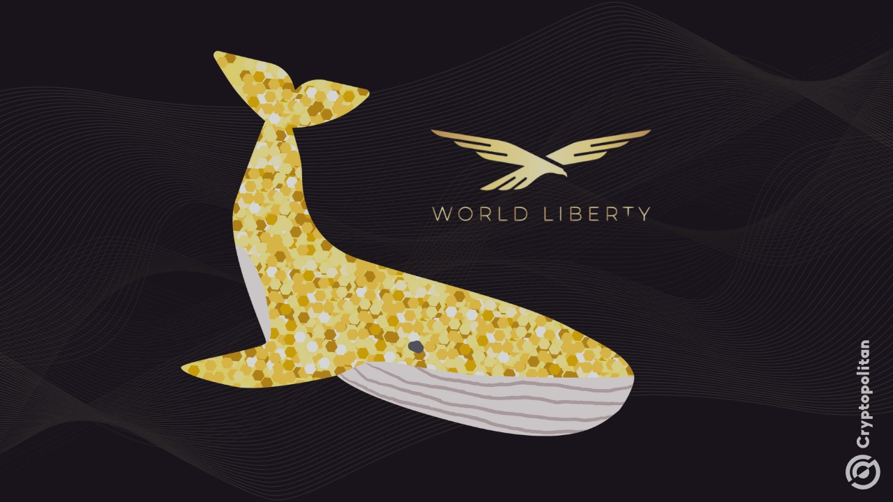传闻称唐纳德·特朗普总统签署友好加密货币行政命令后，Whale收购了WLFI