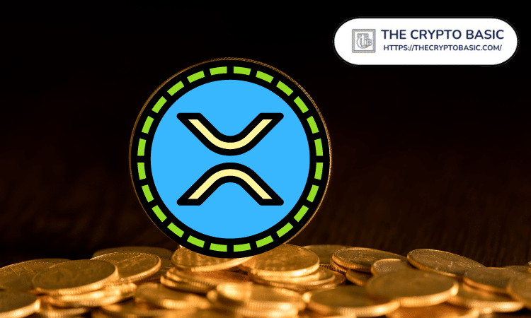 专家称,持有 1,000 XRP 将让您领先他人一步